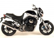 Yamaha BT1100 Bulldog Yamaha BT1100 Bulldog